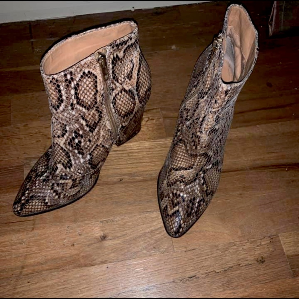 Steve Madden Snakeskin booties